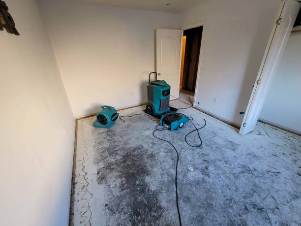 Best Flooded house restoration  in Glendale, OH