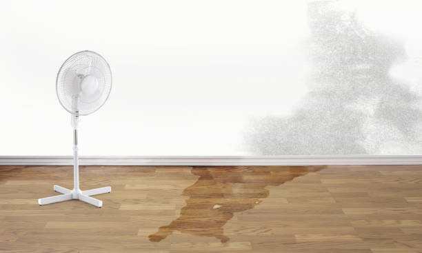 Best Water damage restoration near me  in Glendale, OH