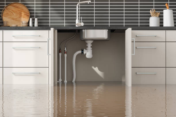 Best Carpet water damage restoration  in Glendale, OH