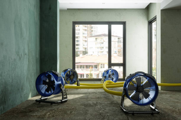 Best Local water damage restoration  in Glendale, OH
